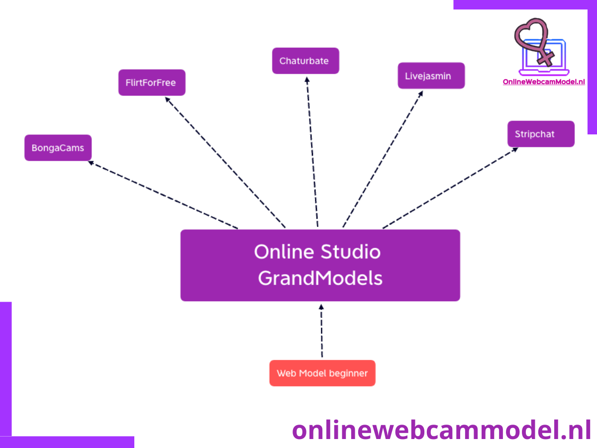 Web model working in online studio