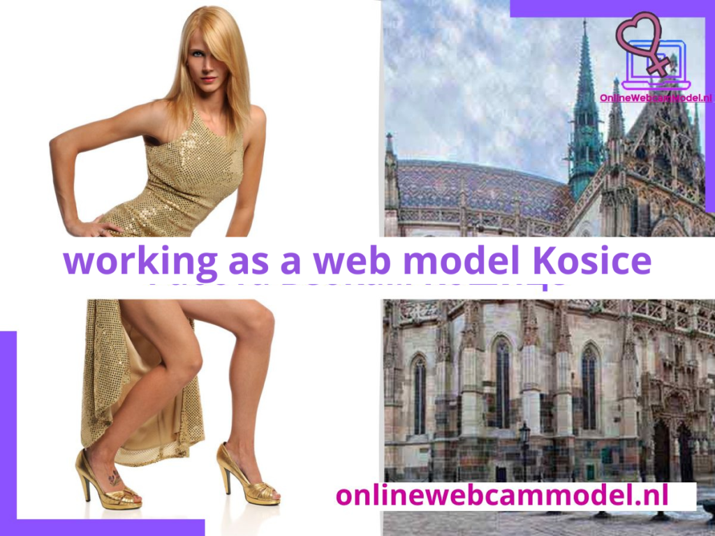 Webcam modeling in Košice Slovakia