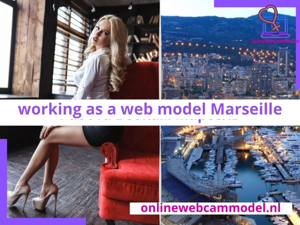 Webcam modeling in Mersel